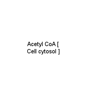Acetyl CoA [ Cell cytosol ]